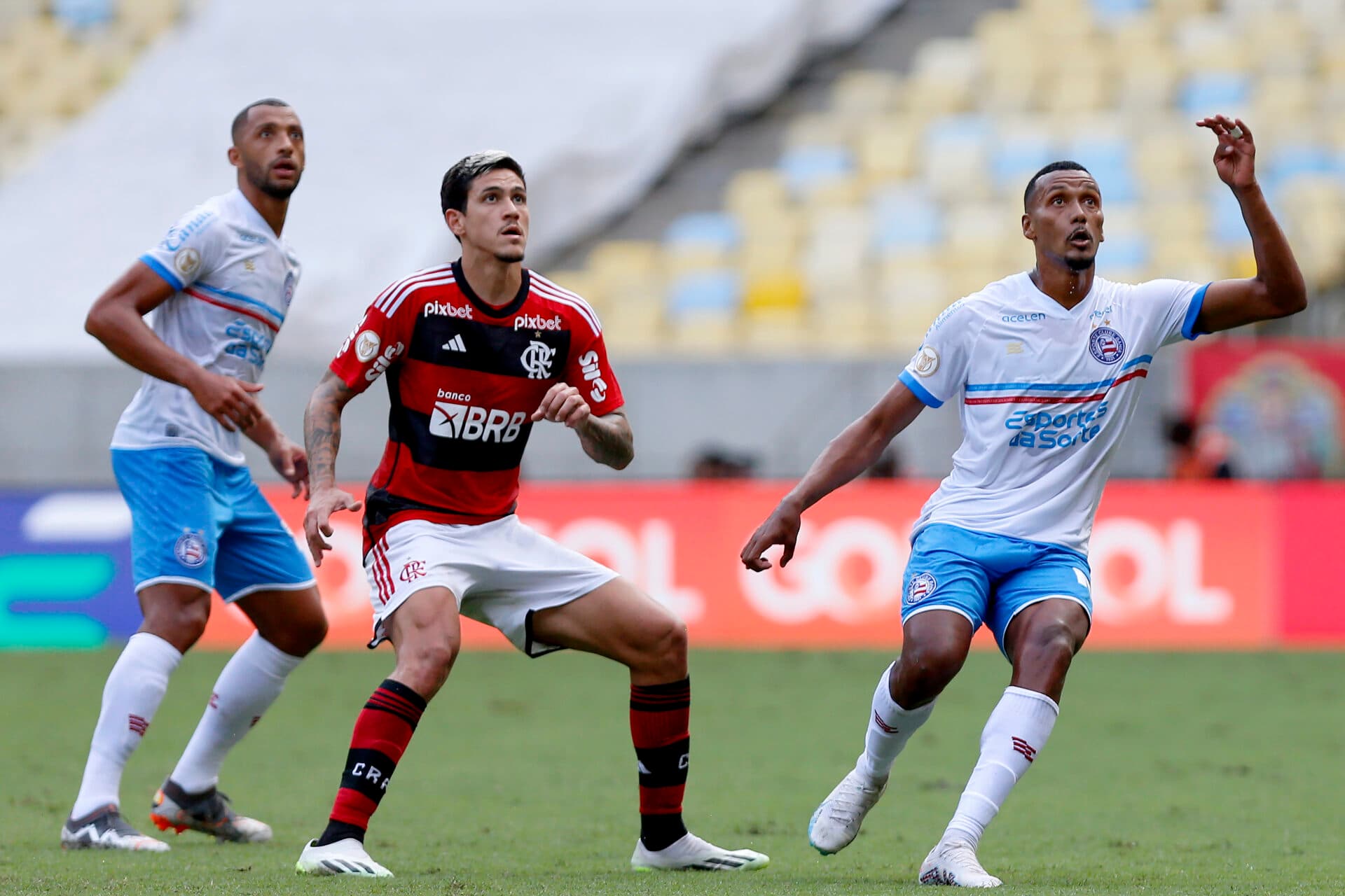 Flamengo x Bahia: onde assistir ao jogo do Brasileirão
