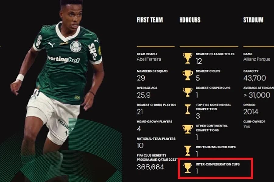 Fifa não reconheceu Palmeiras e Flu como campeões mundiais; entenda confusão