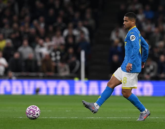 Wolverhampton x Brighton: onde assistir, horário e escalações pela Premier League