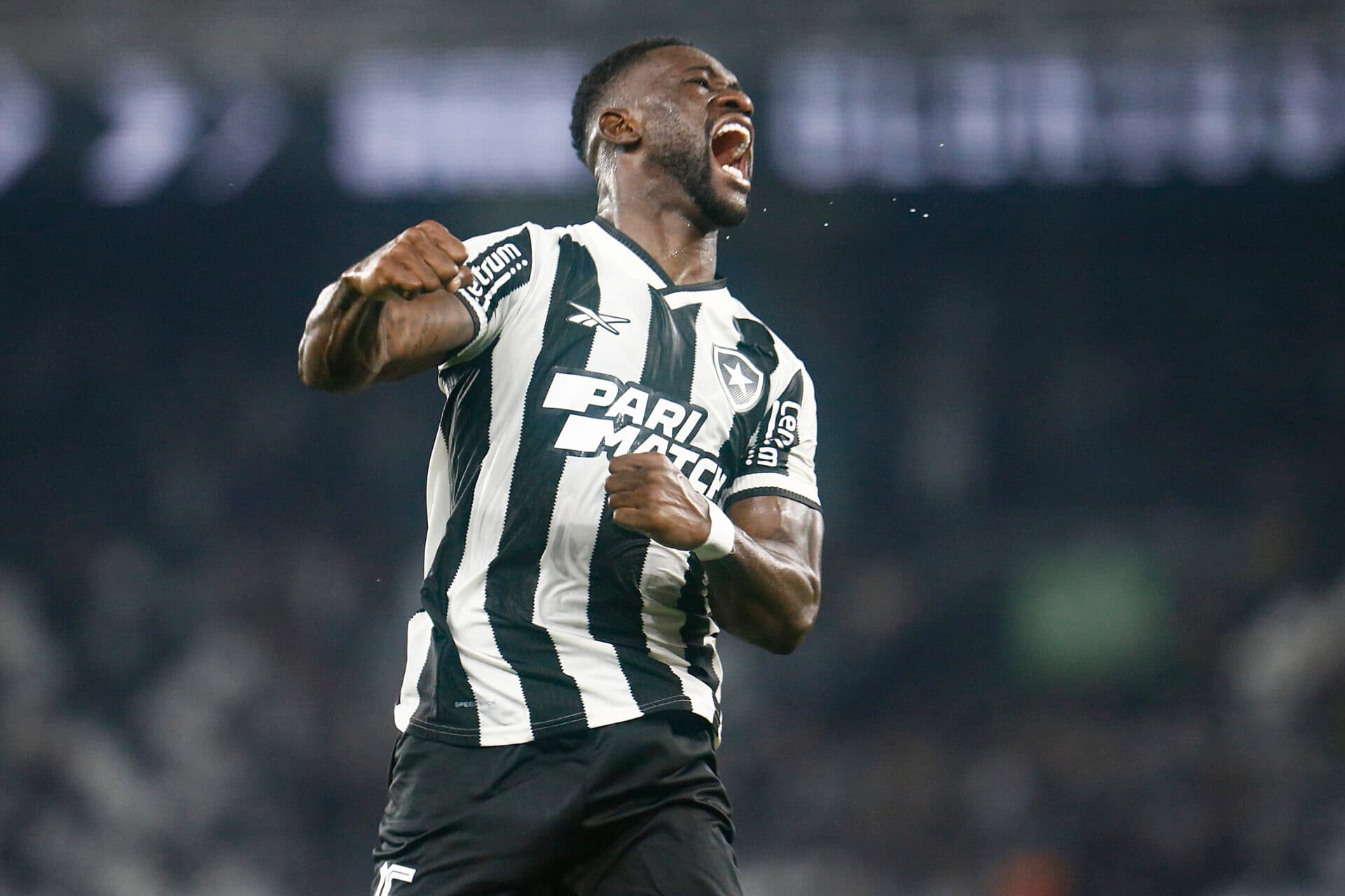 Botafogo empata no último lance e assegura liderança parcial do Brasileirão